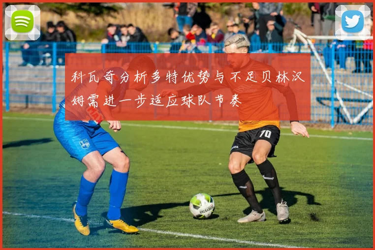科瓦奇分析多特优势与不足贝林汉姆需进一步适应球队节奏