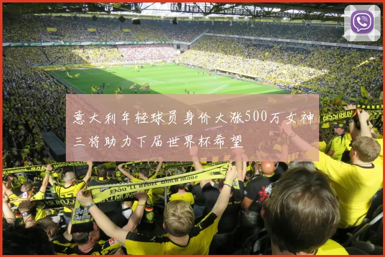 意大利年轻球员身价大涨500万女神三将助力下届世界杯希望